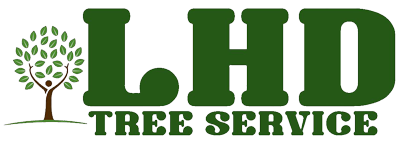 LHD Logo